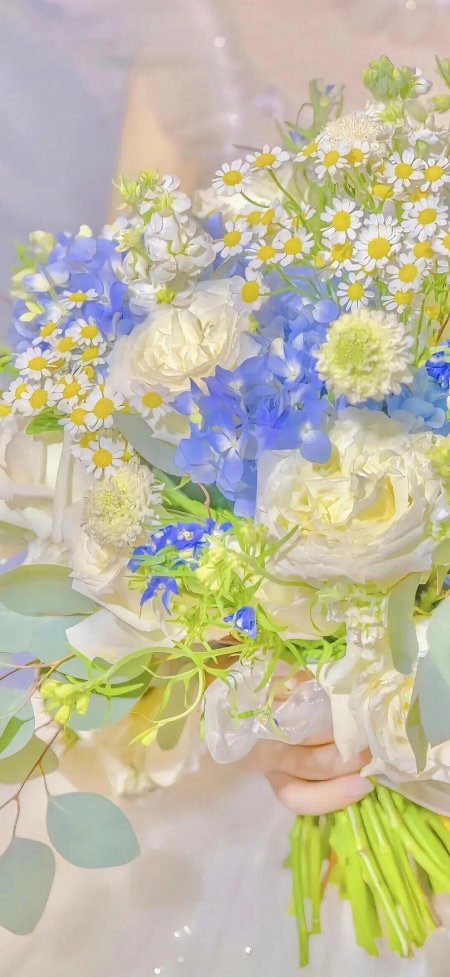 蓝白花束手持清新唯美绘画手机壁纸