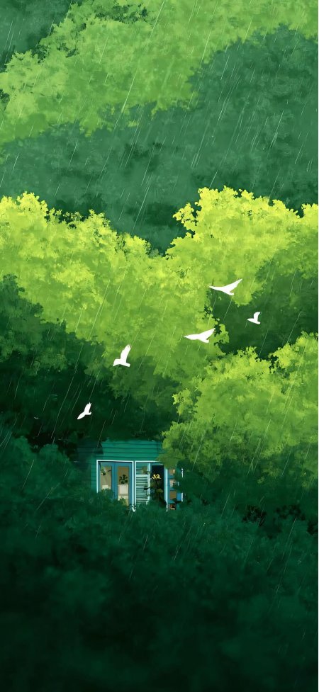 绿林雨中木屋白鸟飞过风景手机壁纸