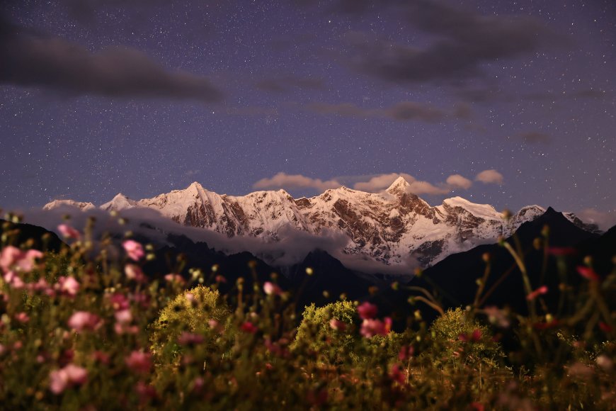 星夜粉花前景雪山长曝摄影风景电脑壁纸