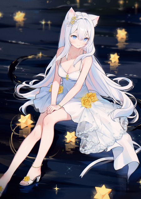 白发猫耳女黄玫瑰星夜少女动漫手机壁纸