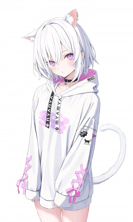 白发猫耳女粉格卫衣少女动漫手机壁纸