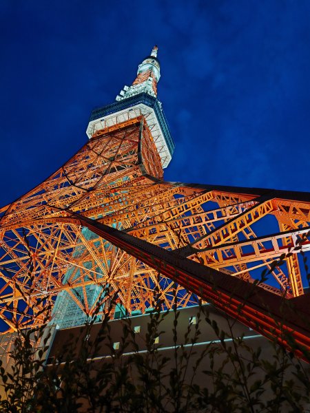 东京塔夜空云彩灯光风景手机壁纸