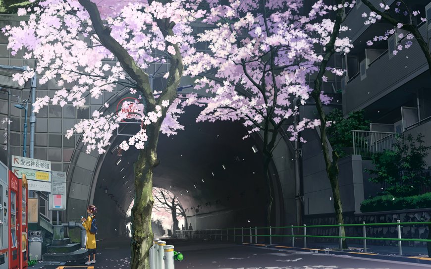 樱花隧道公交站街景二次元风景电脑壁纸