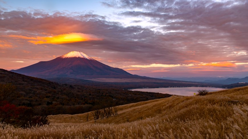 富士山晨曦芒草倒影湖景风景电脑壁纸