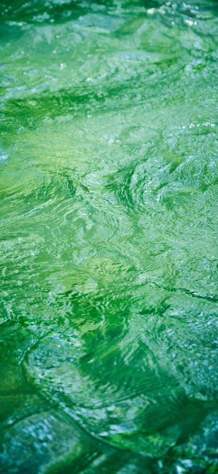 翠绿湖面波纹治愈系风景手机壁纸