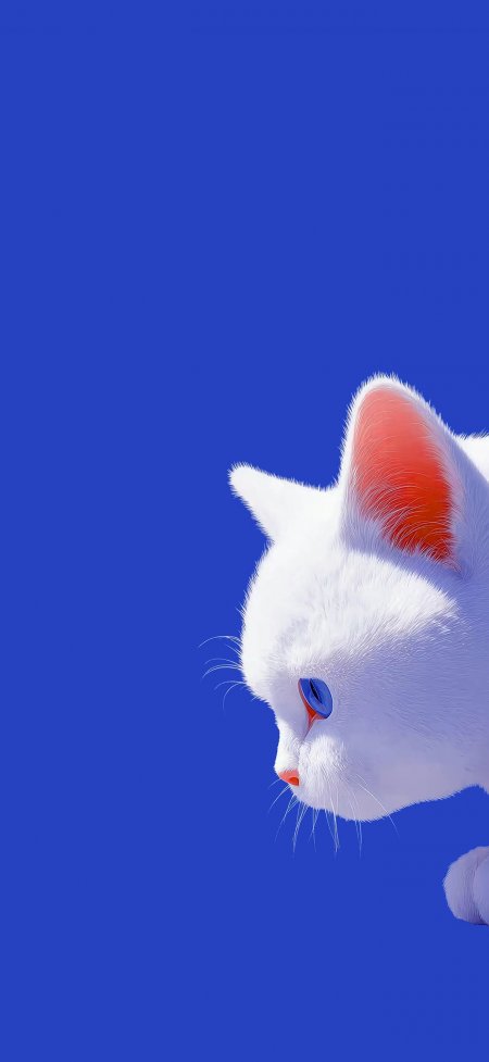 蓝底白色猫猫探头蓝眼萌宠动物手机壁纸
