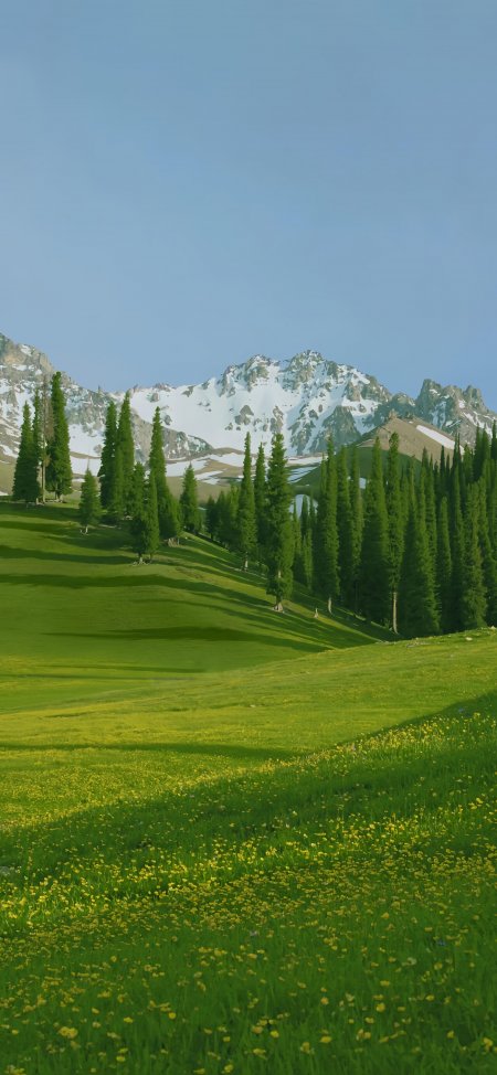 雪山草原黄花松林蓝天风景手机壁纸