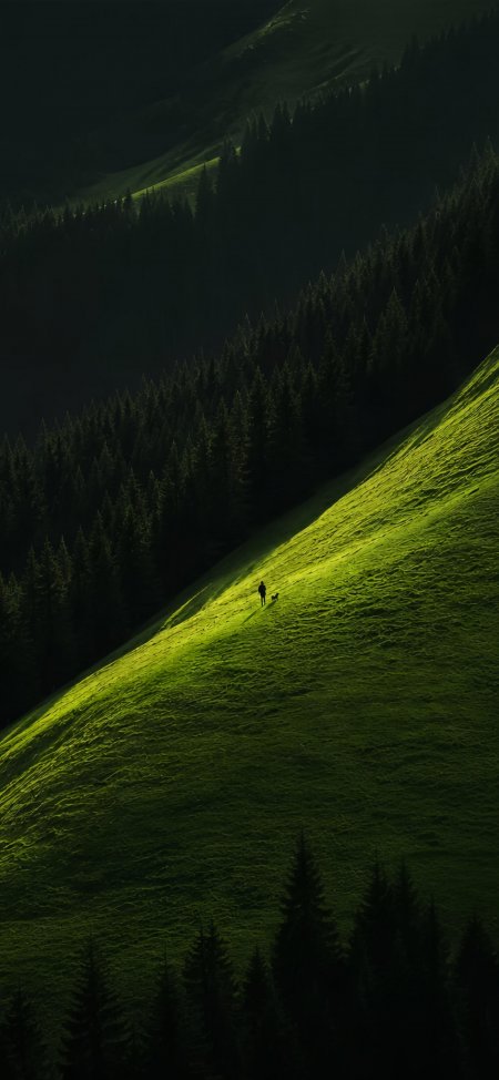 绿色山坡光影一人一狗剪影暗调森林风光摄影手机壁纸