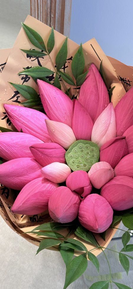 粉莲蓬花束水珠晶莹粉绿花卉植物手机壁纸