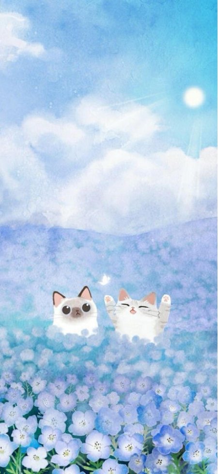 蓝花海中两只猫咪仰望阳光粉紫动漫手机壁纸