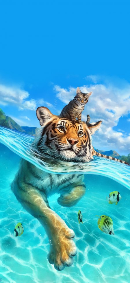 老虎背小猫游泳碧蓝奇幻创意手机壁纸
