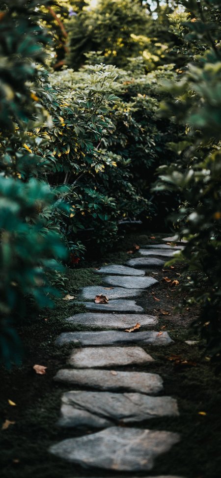 石板小径绿荫幽静青翠自然风景手机壁纸