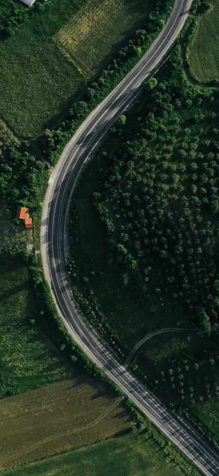 蜿蜒公路穿林间绿野俯瞰风景手机壁纸