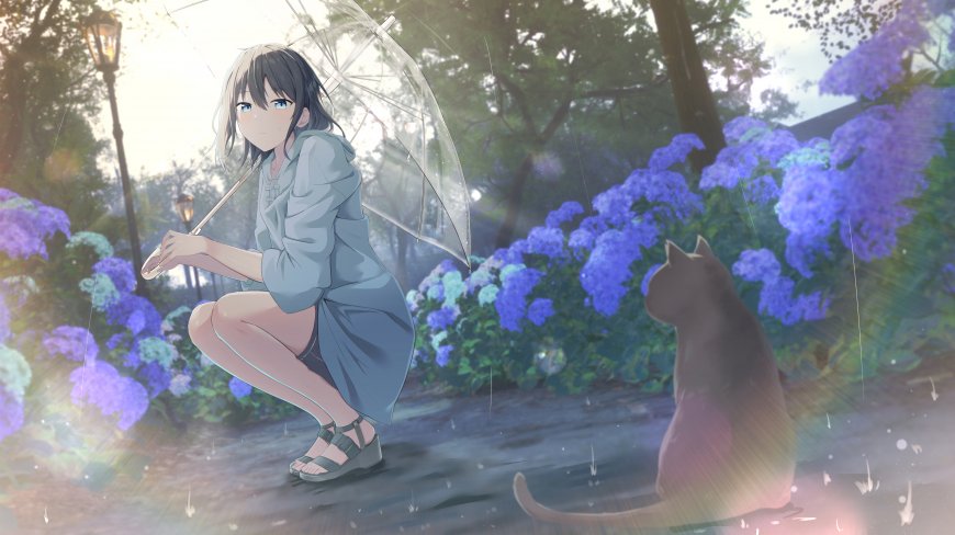少女撑透明伞蹲坐紫绣球花丛旁蓝紫动漫电脑