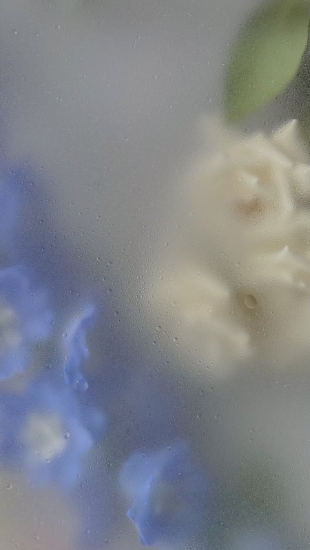 蓝白花朵水雾朦胧柔焦花卉植物手机壁纸