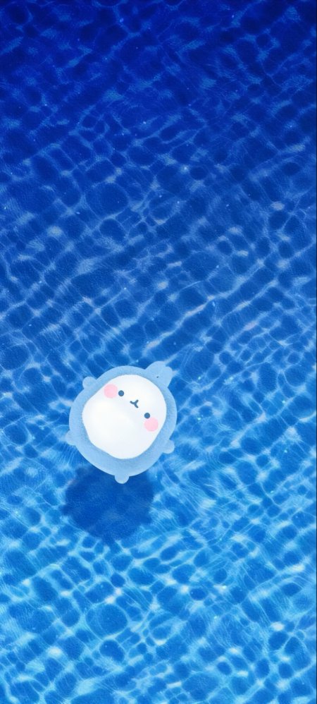萌系小海豹漂浮蓝波水面清新动漫手机壁纸