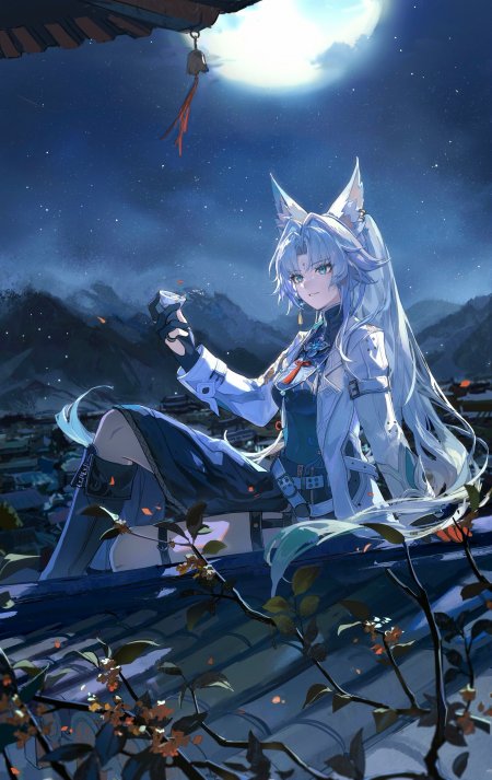 崩坏星穹铁道飞霄月夜屋顶举杯唯美动漫手机壁纸