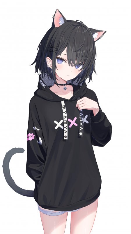 猫耳少女黑卫衣蓝瞳动漫手机壁纸
