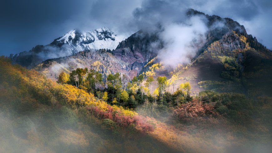 雪山云雾秋林层叠金橙风景电脑壁纸
