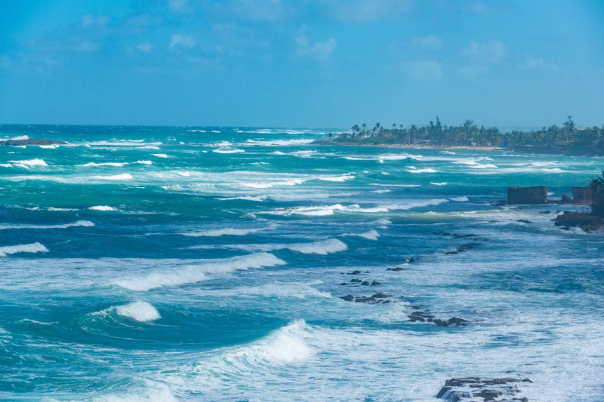 碧海浪涌椰林海岸蓝白风景电脑壁纸
