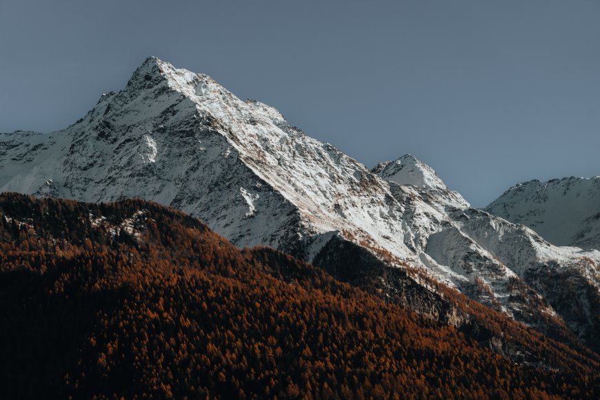 雪山巍峨秋林层叠蓝灰风景电脑壁纸