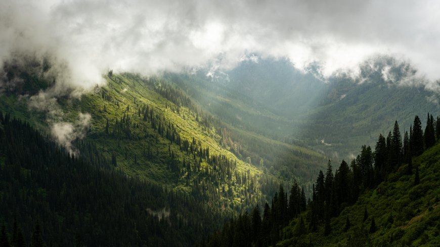 云雾缭绕青山叠翠绿意盎然风景电脑壁纸