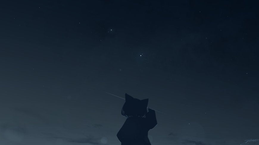 星空下猫耳少女仰望深蓝动漫电脑壁纸