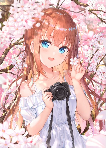 樱花树下蓝眼少女持相机粉白动漫手机壁纸