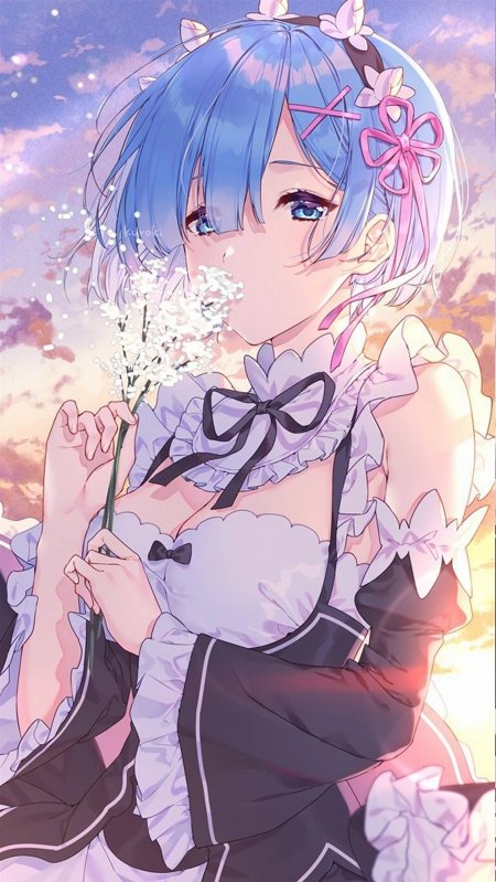 蕾姆从零开始的异世界生活蓝发少女持花粉紫
