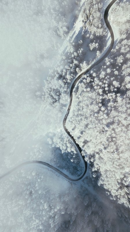 雪覆蜿蜒山路穿林雾白风景手机壁纸