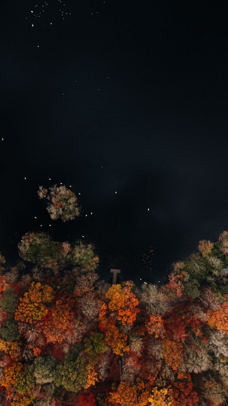 秋林湖畔星空俯瞰暗金风景手机壁纸