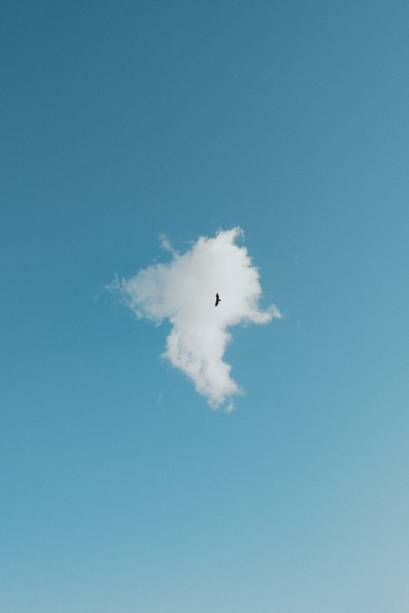 蓝天白云孤鸟飞翔蓝白风景手机壁纸