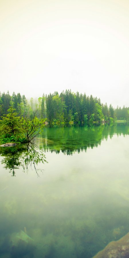 湖面倒影森林雾气青绿风景手机壁纸