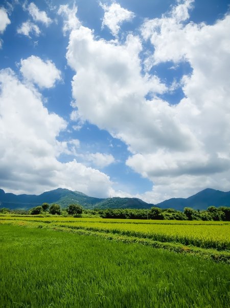 稻田青翠远山叠嶂蓝白风景手机壁纸