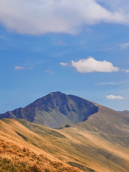 高山巍峨草甸金黄蓝白风景手机壁纸