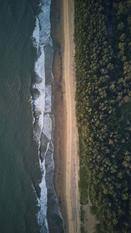 海岸线海浪拍岸绿林相伴蓝灰风景手机壁纸