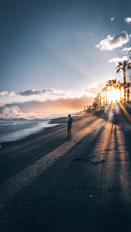 海滩夕阳棕榈树剪影暖金风景手机壁纸