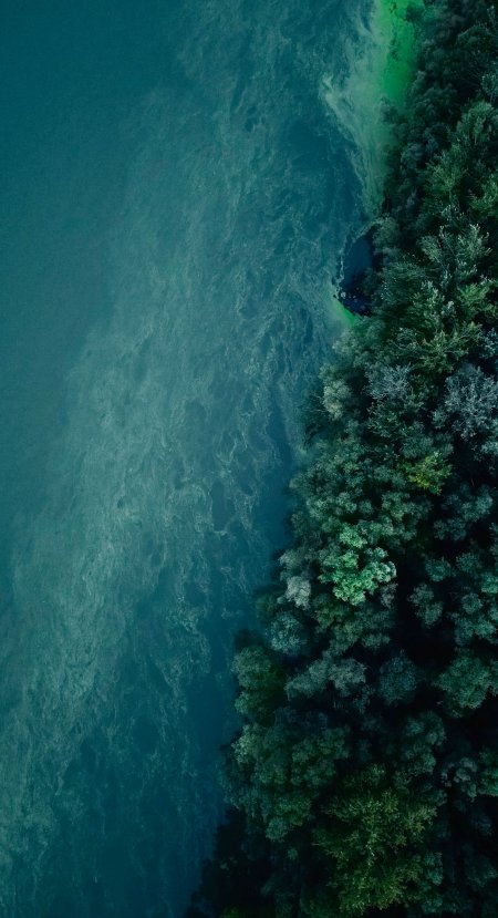 湖畔森林航拍青绿美景自然风景手机壁纸