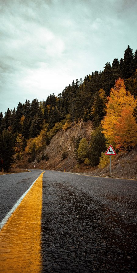 山间公路蜿蜒秋林金黄蓝灰风景手机壁纸