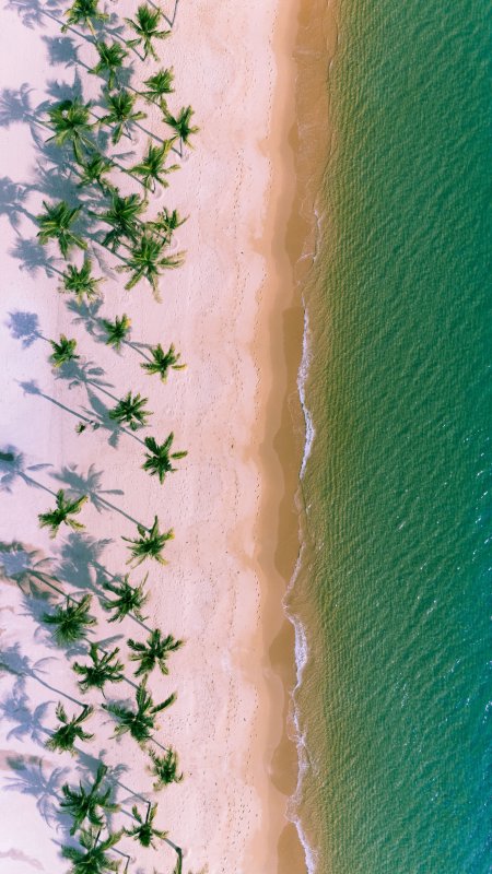 热带海滩椰林白沙碧海蓝绿风景手机壁纸