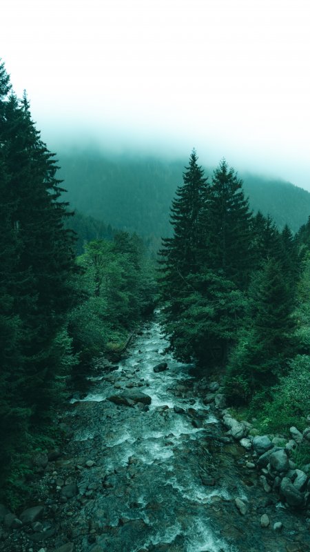 山涧溪流雾绕松林青绿风景手机壁纸