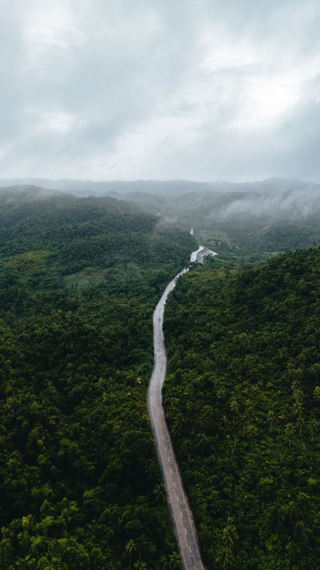 雨后山间公路蜿蜒穿林青绿风景手机壁纸