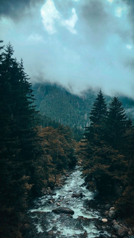山涧溪流云雾缭绕青绿自然风景手机壁纸