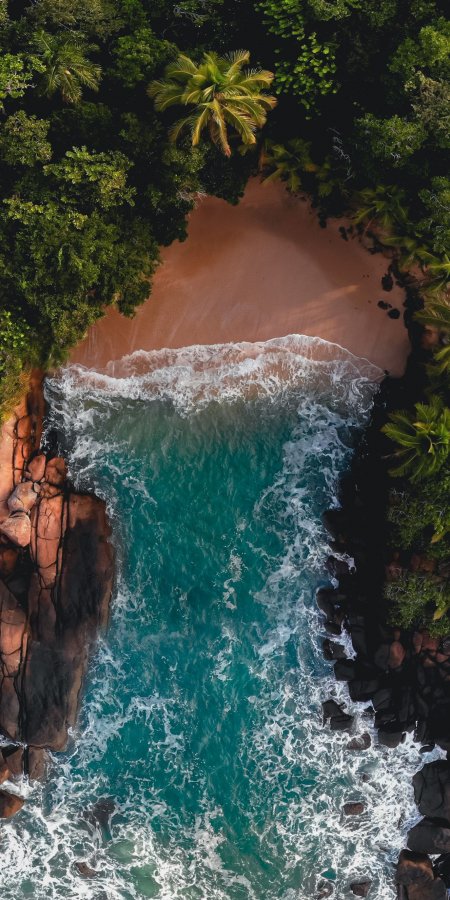 热带海滩椰林碧海蓝绿风景手机壁纸