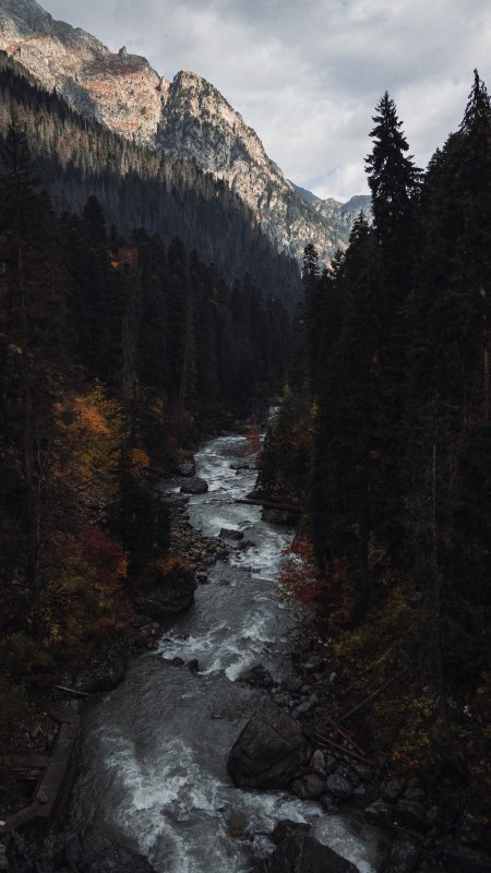 山涧溪流穿林而过灰蓝风景手机壁纸