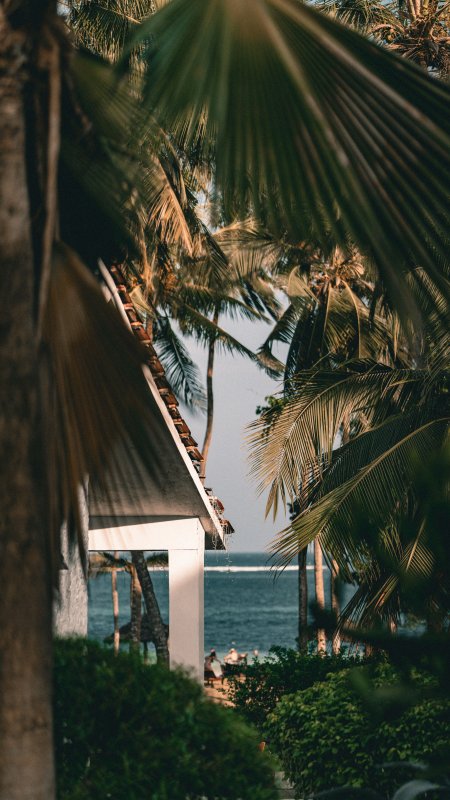 椰林掩映白屋海景蓝绿风景手机壁纸