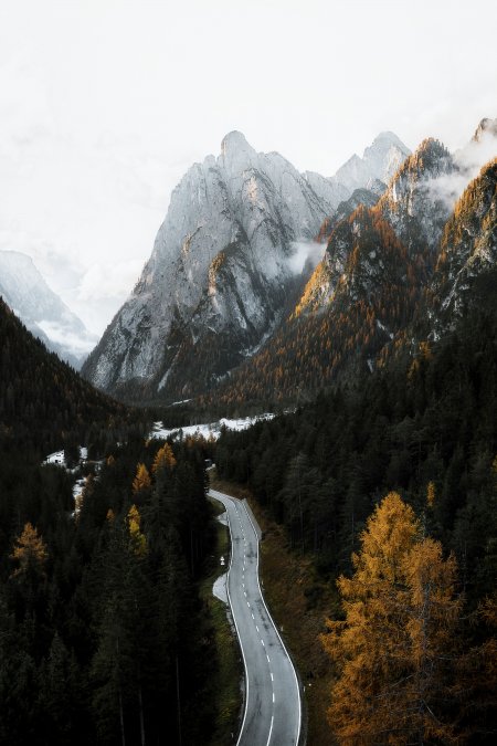 阿尔卑斯山间公路秋林云雾灰金风景手机壁纸