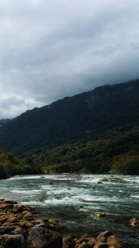 湍急河流穿林绕石青灰风景手机壁纸