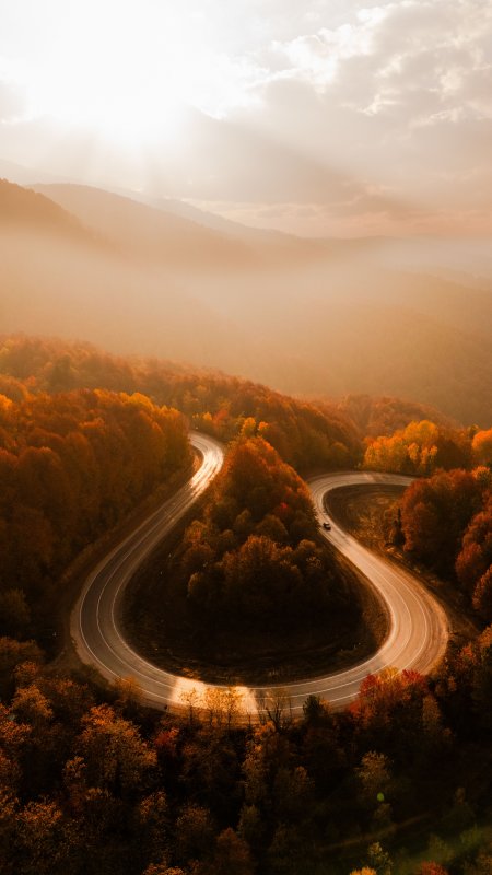 蜿蜒山路秋林雾霭金橙风景手机壁纸