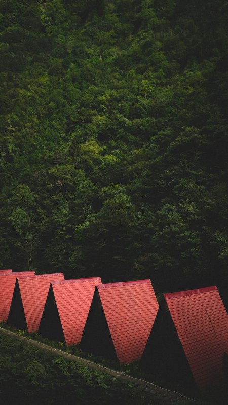 红顶小屋隐于深绿山林暗绿风景手机壁纸